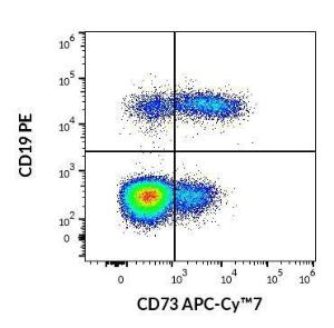 Flow cytometric analysis of human lymphocytes using Anti-CD19 Antibody [LT19] (PE) (4µl reagent per 100µl of peripheral whole blood) and Anti-CD73 Antibody [AD2] (APC-Cyanine 7) (4µl reagent per 100µl of peripheral whole blood)