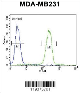 Anti-HPGD Rabbit Polyclonal Antibody