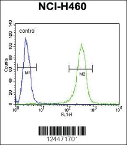 Anti-ZNF473 Rabbit Polyclonal Antibody