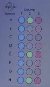 Kit d'expérimentation, microéchantillons d'ADN/d'ARN