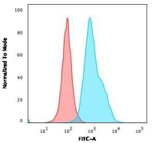 Flow cytometric analysis of Ramos cells using Anti-CD10 Antibody [CB-CALLA] followed by Goat Anti-Mouse IgG (CFand#174; 488) (Blue). Isotype Control (Red)