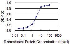 Anti-CEACAM6 Mouse Monoclonal Antibody [clone: 1G2]