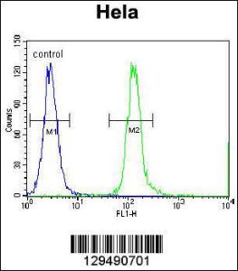 Anti-CPSF4L Rabbit Polyclonal Antibody (FITC (Fluorescein Isothiocyanate))