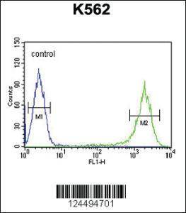 Anti-GAGE7 Rabbit Polyclonal Antibody