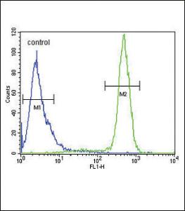 Anti-SCN1B Rabbit Polyclonal Antibody (APC (Allophycocyanin))