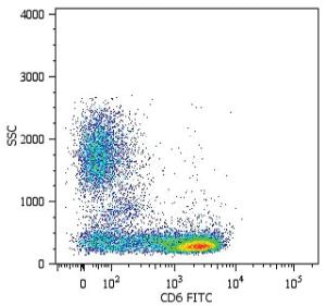 Anti-CD6 Mouse Monoclonal Antibody [clone: MEM-98]