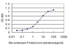 Anti-SP1 Mouse Monoclonal Antibody [clone: 4C8]