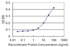 Anti-TNFSF13 Mouse Monoclonal Antibody [clone: 4A11]