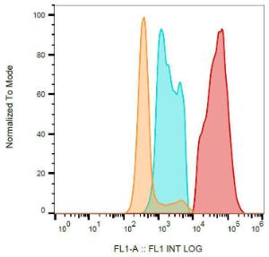 Antibody anti-CD154 24-31 FITC