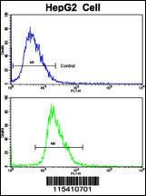 Anti-PIK3CA Rabbit Polyclonal Antibody (APC (Allophycocyanin))