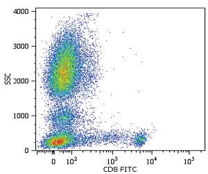 Anti-CD8A Mouse Monoclonal Antibody [clone: MEM-31]