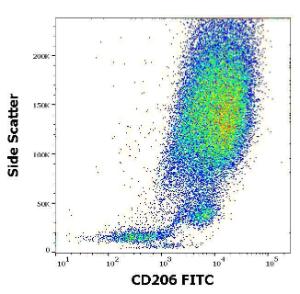 Flow cytometric analysis of human stimulated monocytes (GM-CSF + IL-4) stained with Anti-CD206 Antibody [15-2] (FITC) (4µl reagent per milion cells in 100µl of cell suspension)