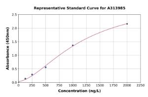 Representative standard curve for human TRAF6 ELISA kit (A313985)