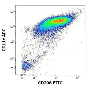 Flow cytometric analysis of human stimulated monocytes (GM-CSF + IL-4) stained using Anti-CD206 Antibody [15-2] (FITC) (4µl reagent per milion cells in 100µl of cell suspension) and Anti-CD11c Antibody [BU15] (APC) (10µl reagent per milion cells in 100µl of cell suspension)