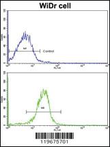 Anti-AADAC Rabbit Polyclonal Antibody