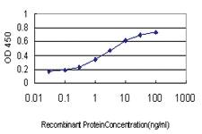 Anti-TNFSF12 Mouse Monoclonal Antibody [clone: 4H3]