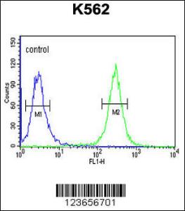 Anti-ACSM1 Rabbit Polyclonal Antibody (FITC (Fluorescein Isothiocyanate))