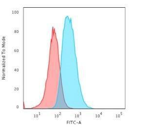 Antibody anti-GFAP SPM248 100 µg