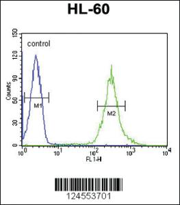 Anti-ZDHHC6 Rabbit Polyclonal Antibody