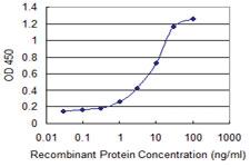 Anti-NUBP1 Mouse Monoclonal Antibody [clone: 2B11]