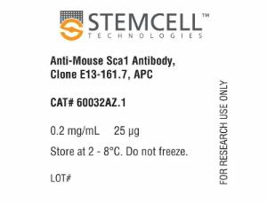 Anti-mouse Sca1 antibody, spectrum E13-161.7