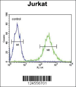 Anti-PKHH2 Rabbit Polyclonal Antibody