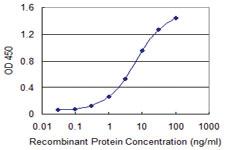 Anti-TNFRSF21 Mouse Monoclonal Antibody [clone: 1B1]