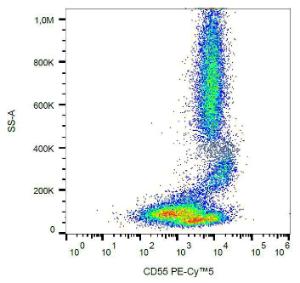 Anti-CD55 Mouse Monoclonal Antibody [clone: MEM-118] (PE-Cyanine 5)