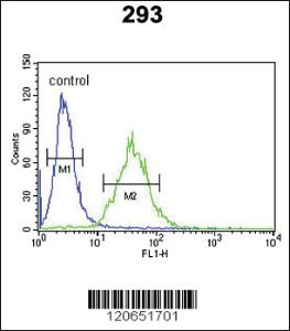 Anti-CEBPB Rabbit Polyclonal Antibody