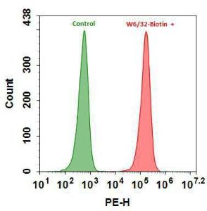 Rpe-streptavidin con 16900 100 µg