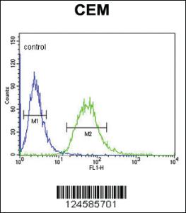 Anti-CA6 Rabbit Polyclonal Antibody