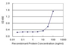 Anti-PPP2R3B Antibody Pair