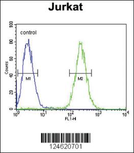 Anti-RAP1B Rabbit Polyclonal Antibody