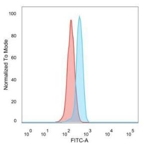 Flow cytometric analysis of PFA fixed HeLa cells using Anti-ZBTB39 Antibody [PCRP-ZBTB39-1A11] followed by Goat Anti-Mouse IgG (CF&#174; 488) (Blue). Unstained cells (red).