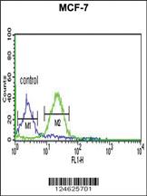 Anti-LGALS9 Rabbit Polyclonal Antibody