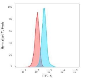 Flow cytometric analysis of T98G cells using Anti-GFAP Antibody [GFAP/2076] followed by Goat Anti-Mouse IgG (CF&#174; 488) (Blue) Isotype Control (Red)