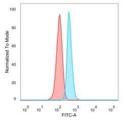 Anti-NOC4L Mouse Monoclonal Antibody [clone: PCRP-NOC4L-1E3]