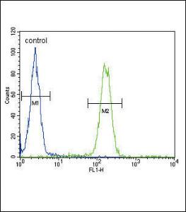 Anti-SCNN1A Rabbit Polyclonal Antibody (AP (Alkaline Phosphatase))