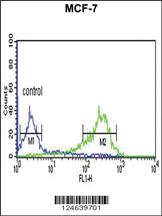 Anti-HAPLN1 Rabbit Polyclonal Antibody