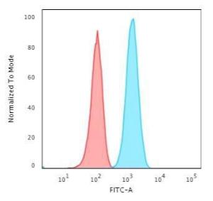 Anti-GFAP Rabbit Recombinant Antibody [clone: ASTRO/1974R]