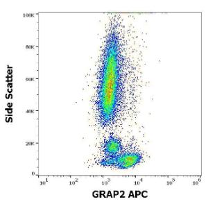 Flow cytometry intracellular staining pattern of human peripheral whole blood stained using Anti-GRAP2 Antibody (APC) (concentration in sample 1.7 µg/ml)