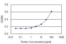 Anti-CASP3 Antibody Pair