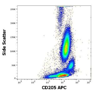 Flow cytometry surface staining pattern of human peripheral whole blood stained using Anti-CD205 Antibody (APC) (4 µl reagent/100 µl of peripheral whole blood)