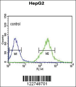 Anti-AFMID Rabbit Polyclonal Antibody