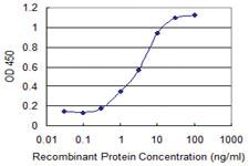 Anti-PRKCD Mouse Monoclonal Antibody [clone: 2F3]