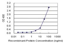 Anti-IL13 Mouse Monoclonal Antibody (Biotin)