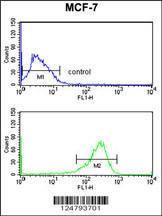 Anti-SELT Rabbit Polyclonal Antibody (FITC (Fluorescein Isothiocyanate))