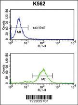 Anti-APOBEC3F Rabbit Polyclonal Antibody