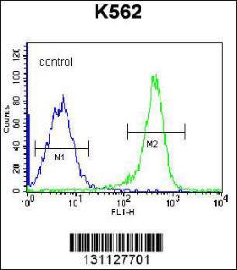 Anti-PSTPIP1 Rabbit Polyclonal Antibody