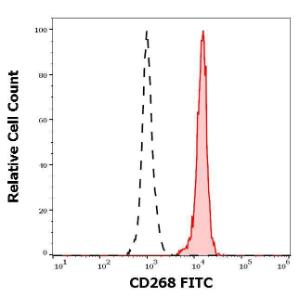 Anti-CD268 Mouse Monoclonal Antibody [clone: 11C1] (FITC (Fluorescein Isothiocyanate))